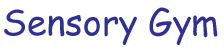 Sensory Gym